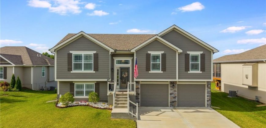 Homes for Sale in Kearney, MO 64060 | 1603  CHESTNUT Street