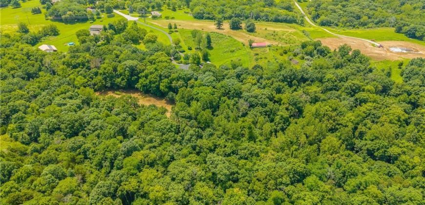 Homes for Sale in Smithville, MO 64089 | 5500  West Gale Road