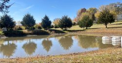 Homes for Sale in Smithville, MO 64089 | 14409  Tillman Road