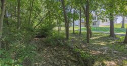 Homes for Sale in Excelsior Springs, MO 64024 | 2414  Merlot Place