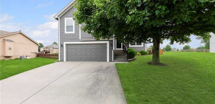 Homes for Sale in Kansas City, MO 64156 | 6805 NE 114TH Terrace