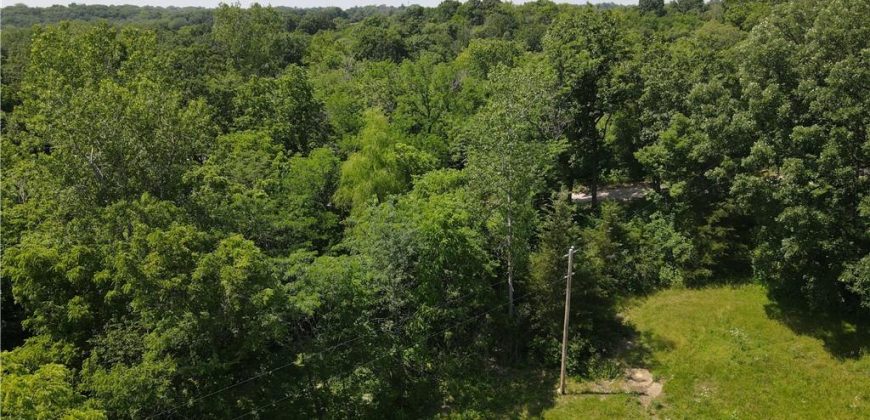 Homes for Sale in Holt, MO 64048 | 19319  Old Bb Highway