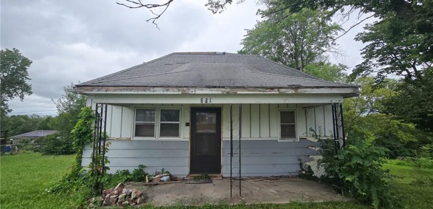 Homes for Sale in Excelsior Springs, MO 64024 | 218 N Titus Avenue