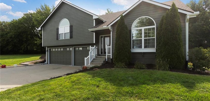 Homes for Sale in Kearney, MO 64060 | 15205  Hills Road