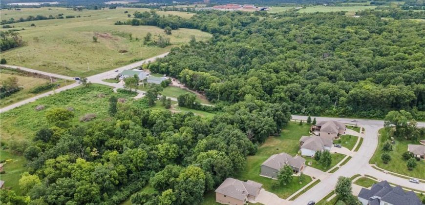 Homes for Sale in Liberty, MO 64068 | 11217  Taylor Drive