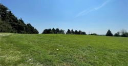 Homes for Sale in Kearney, MO 64060 | 13424  Vines Road