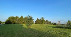 Homes for Sale in Kearney, MO 64060 | 13424  Vines Road