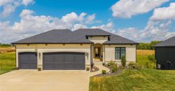 Homes for Sale in Kansas City, MO 64155 | 1008 NW 94th Terrace