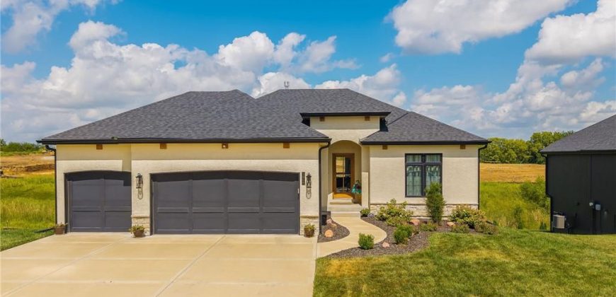 Homes for Sale in Kansas City, MO 64155 | 1008 NW 94th Terrace