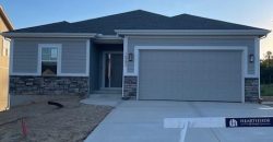 Homes for Sale in Parkville, MO 64152 | 16243  Giorgia Street