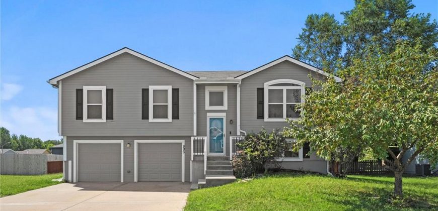 Homes for Sale in Smithville, MO 64089 | 503  Lake Meadows Drive