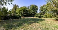Homes for Sale in Pleasant Valley, MO 64068 | 7505  Oak Street