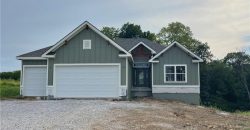 Homes for Sale in Kansas City, MO 64165 | 1207 NE 122nd Street