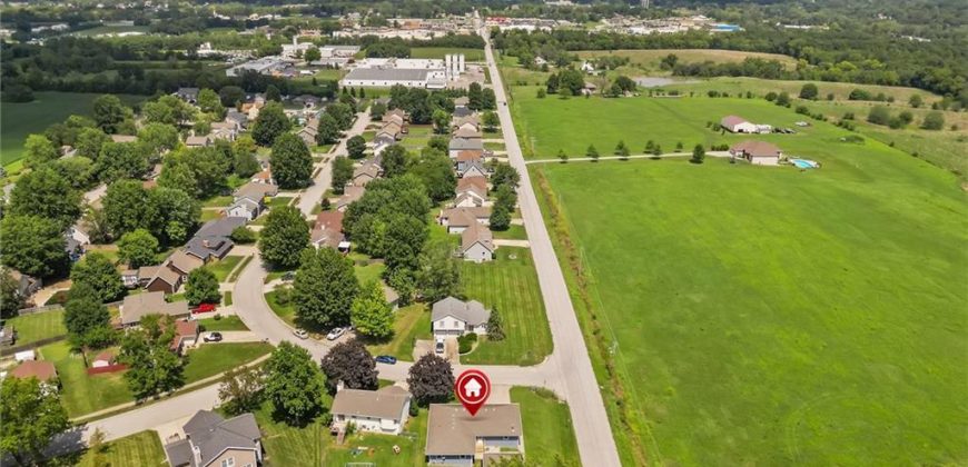 Homes for Sale in Excelsior Springs, MO 64024 | 1701  Birch Street