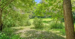 Homes for Sale in Excelsior Springs, MO 64024 | 105 E Line Street