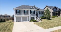Homes for Sale in Kansas City, MO 64157 | 10930 N Randolph Avenue