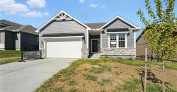 Homes for Sale in Kansas City, MO 64154 | 9702 N Amoret Avenue