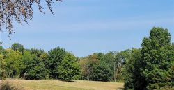 Homes for Sale in Kansas City, MO 64157 | 9270 NE 112th Street