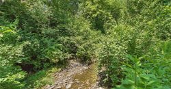 Homes for Sale in Kansas City, MO 64151 | 6112 N Mattox Road