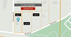Homes for Sale in Kansas City, MO 64116 | 900 NE 47 Street