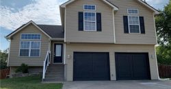 Homes for Sale in Kansas City, MO 64154 | 8524 N Ava Avenue