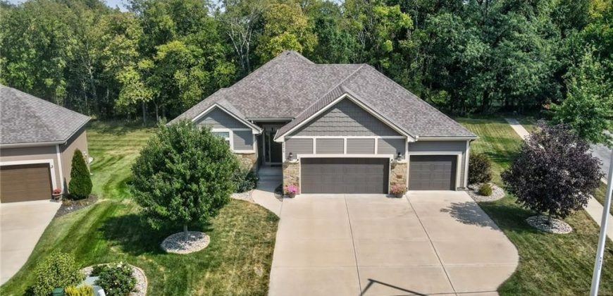 Homes for Sale in Kansas City, MO 64154 | 10919 N Hull Avenue