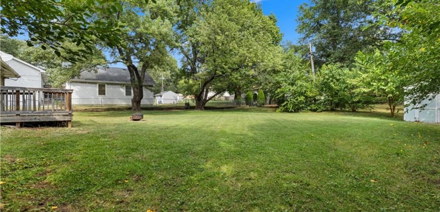 Homes for Sale in Kansas City, MO 64155 | 10503 N Main Street
