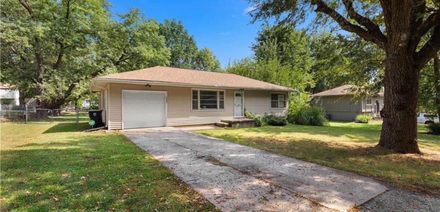 Homes for Sale in Kansas City, MO 64155 | 10503 N Main Street