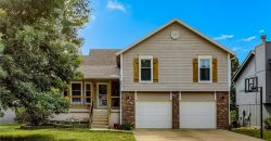 Homes for Sale in Kansas City, MO 64155 | 10626 N Charlotte Street