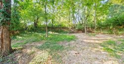 Homes for Sale in Kansas City, MO 64116 | 2425 NE 38th Street