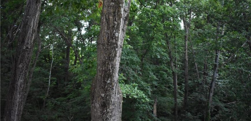 Homes for Sale in Kearney, MO 64060 | 1302  Melissa Court