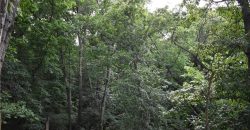 Homes for Sale in Kearney, MO 64060 | 1302  Melissa Court