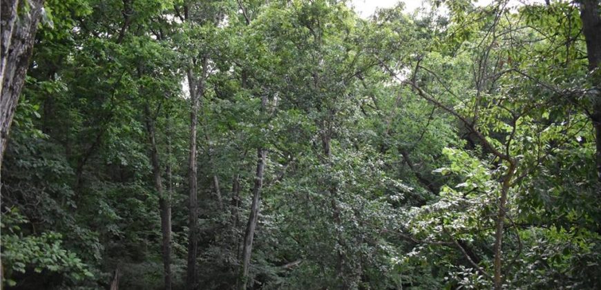 Homes for Sale in Kearney, MO 64060 | 1302  Melissa Court