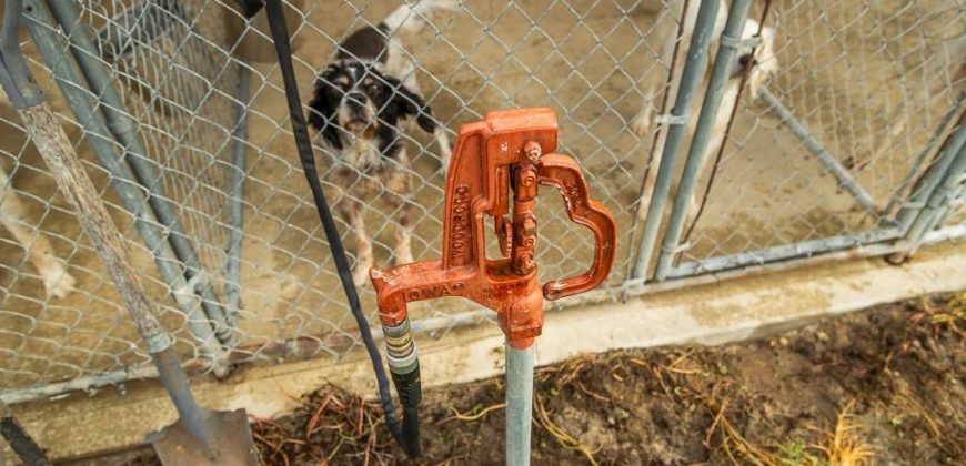 Homes for Sale in Trimble, MO 64492 | 19704  Fightmaster Road