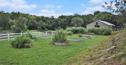 Homes for Sale in Smithville, MO 64089 | 16695  B Highway
