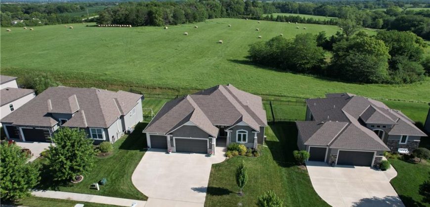 Homes for Sale in Kansas City, MO 64155 | 2010 NE 114th Terrace