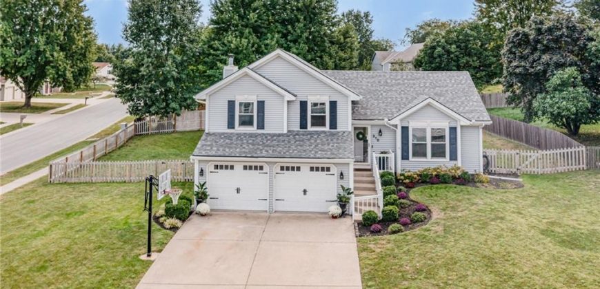 Homes for Sale in Smithville, MO 64089 | 310  Mesa Drive