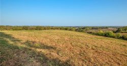 Homes for Sale in Excelsior Springs, MO 64024 | 10818 S County Rd JJ Highway