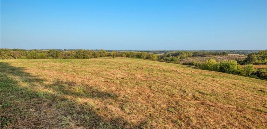 Homes for Sale in Excelsior Springs, MO 64024 | 10818 S County Rd JJ Highway