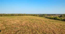 Homes for Sale in Excelsior Springs, MO 64024 | 10818 S County Rd JJ Highway