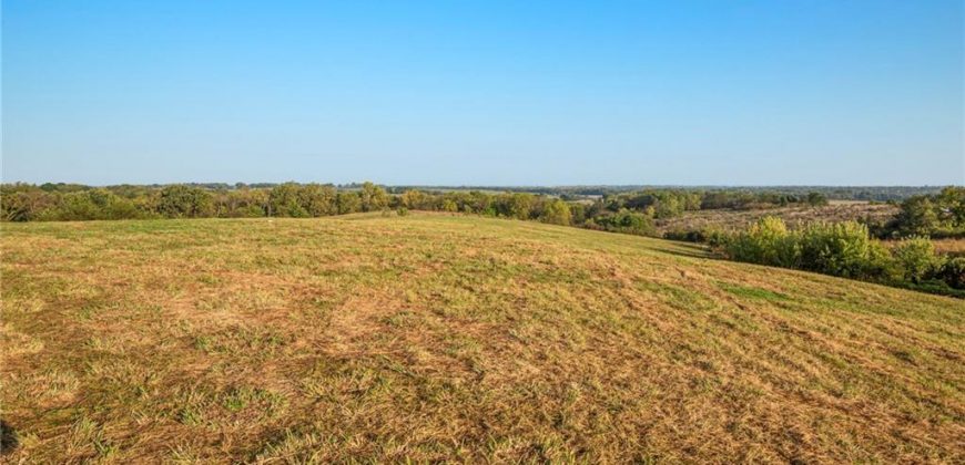 Homes for Sale in Excelsior Springs, MO 64024 | 10818 S County Rd JJ Highway