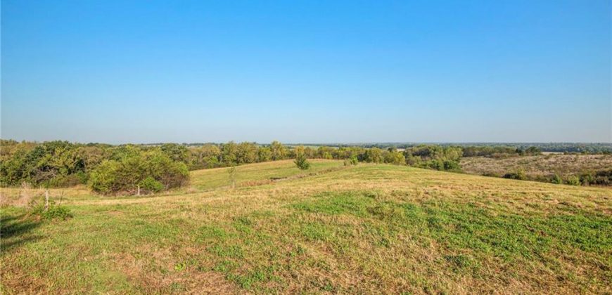Homes for Sale in Excelsior Springs, MO 64024 | 10818 S County Rd JJ Highway