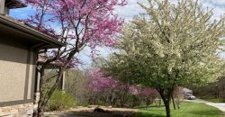 Homes for Sale in Kansas City, MO 64163 | 13201 NW INTERURBAN Road