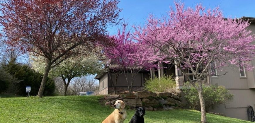 Homes for Sale in Kansas City, MO 64163 | 13201 NW INTERURBAN Road