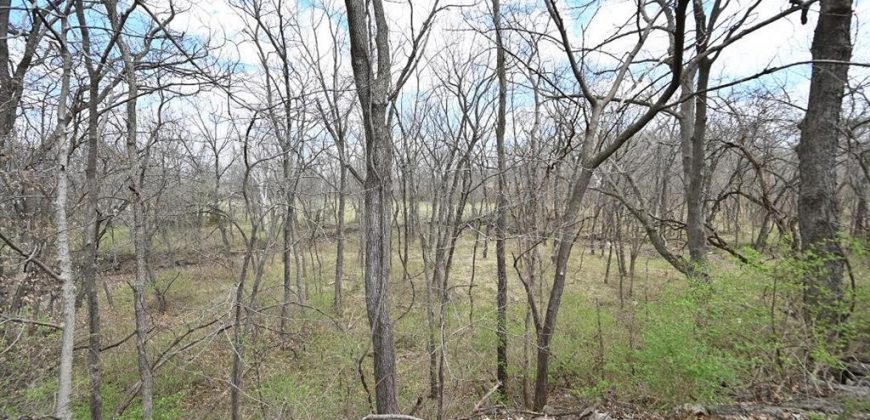 Homes for Sale in Kansas City, MO 64163 | 13201 NW INTERURBAN Road