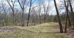 Homes for Sale in Kansas City, MO 64163 | 13201 NW INTERURBAN Road