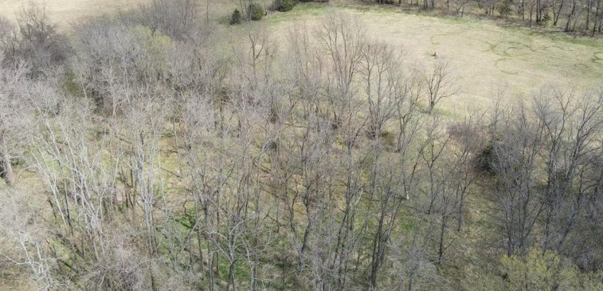 Homes for Sale in Kansas City, MO 64163 | 13201 NW INTERURBAN Road