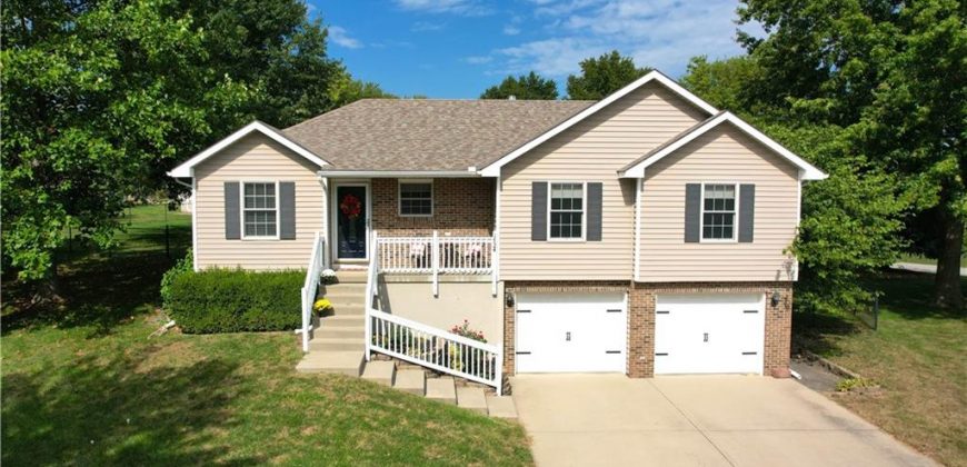 Homes for Sale in Excelsior Springs, MO 64024 | 1724  Aspen Lane