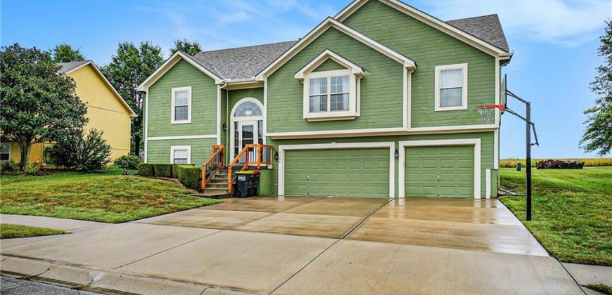 Homes for Sale in Kearney, MO 64060 | 1108 W 10TH Avenue