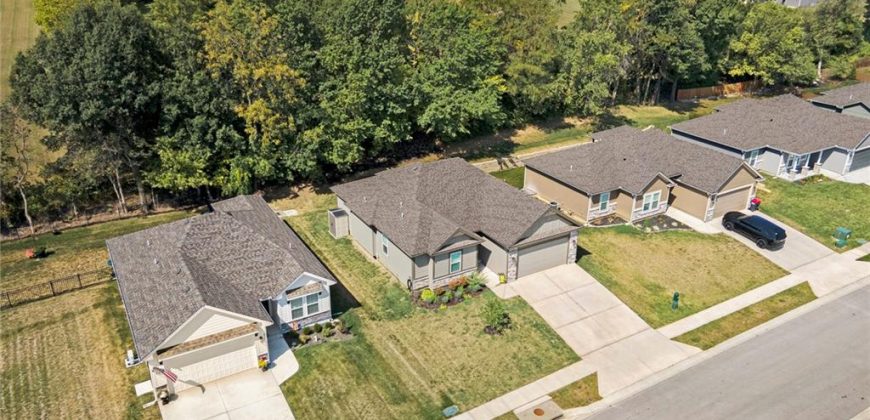 Homes for Sale in Kearney, MO 64060 | 208 S MARIMACK Court